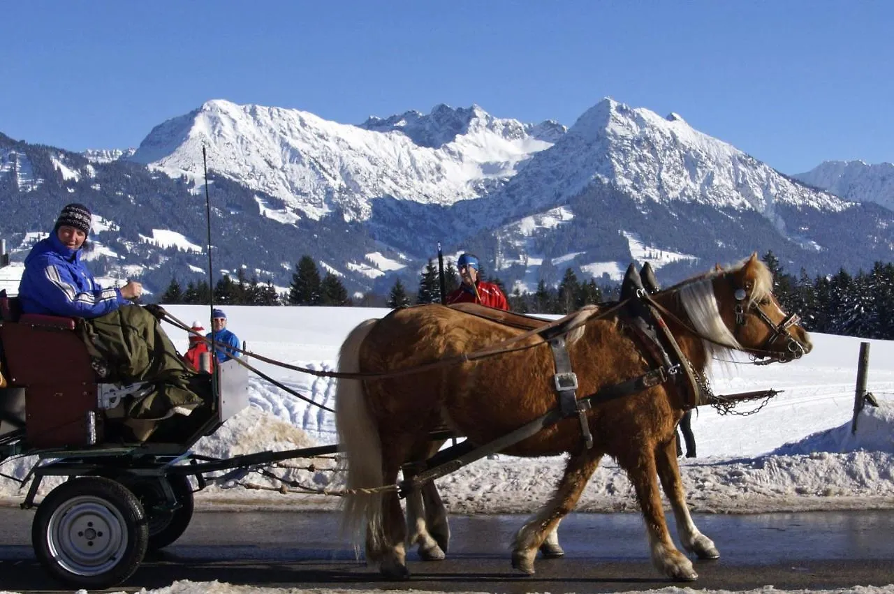 Haflinger Hof Appartement Obermaiselstein